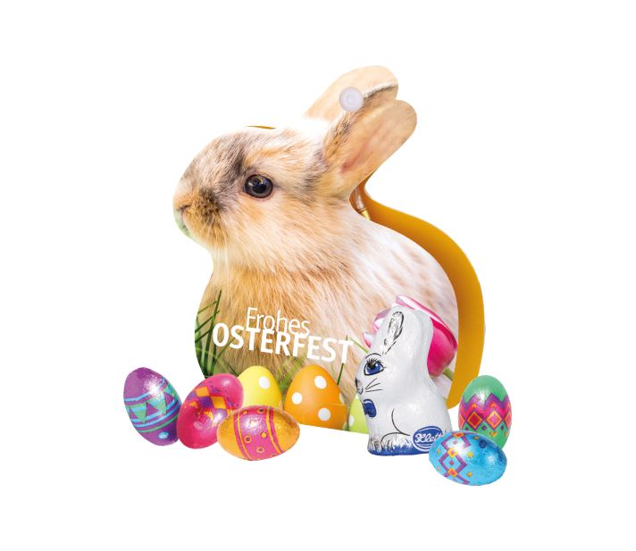 Werbe-Hase mit Schokoladenmischung von Klett
